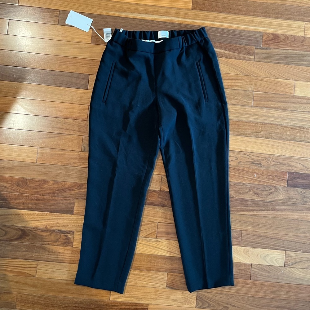 Aritzia darontal pants